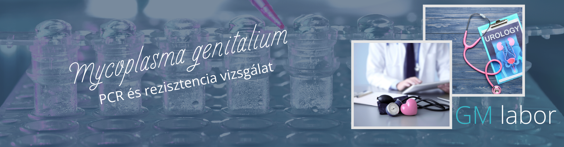 gmlabor.hu