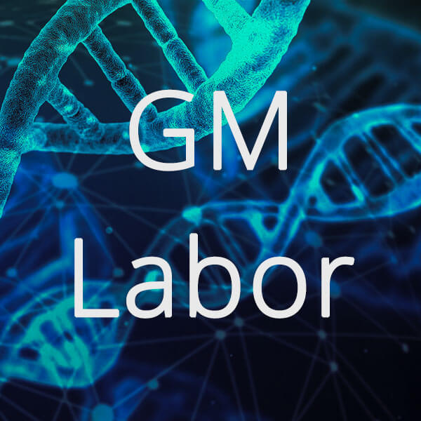 GM Labor bemutatkozás Blog